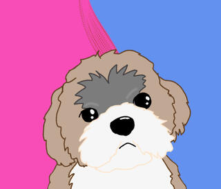 Pet portrait - $5 (simple background + half body)