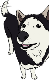 bur bur buongiorno dog for a client